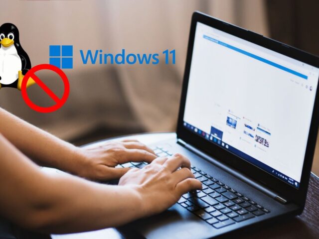Ni Windows 11 ni Linux, este sistema operativo de Microsoft lanzado hace 16 años ha crecido un 100% en solo dos meses